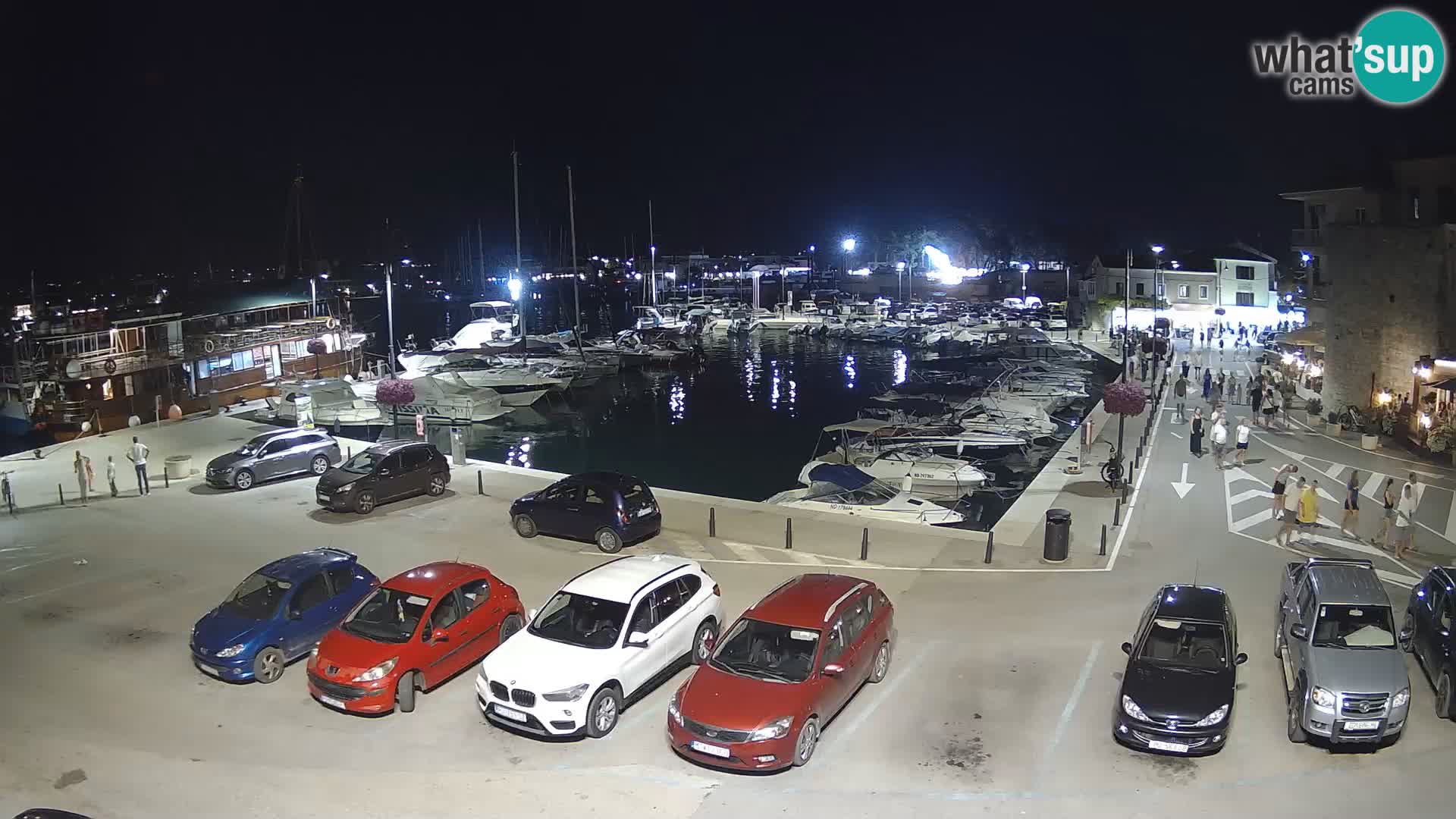 Novigrad | Porporela marina