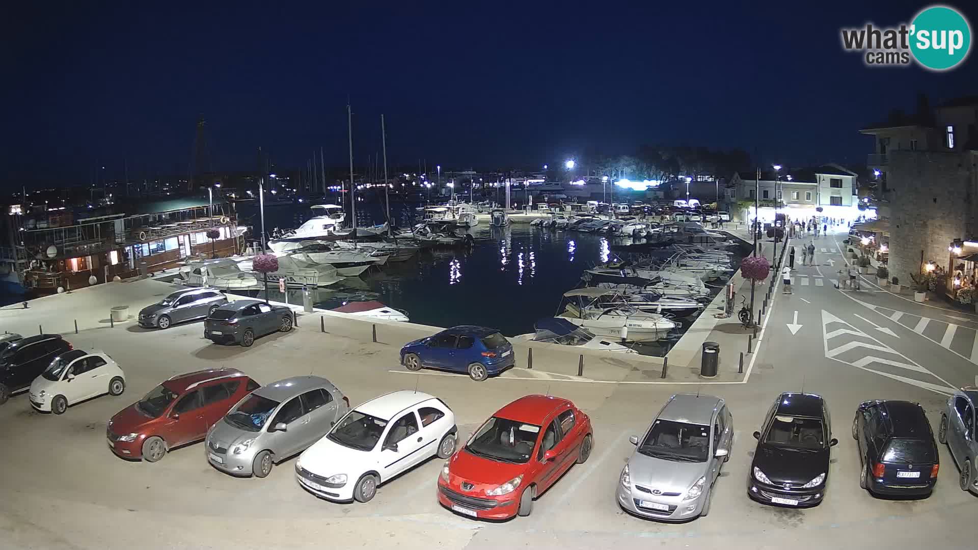 Novigrad | Porporela marina
