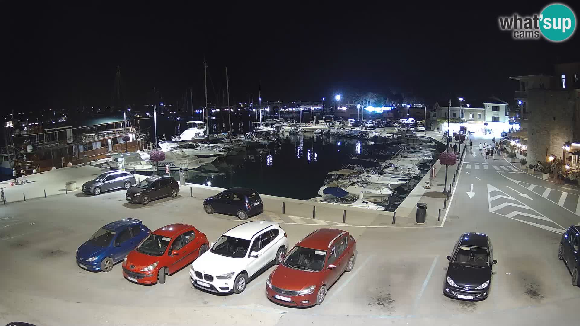 Novigrad | Porporela marina