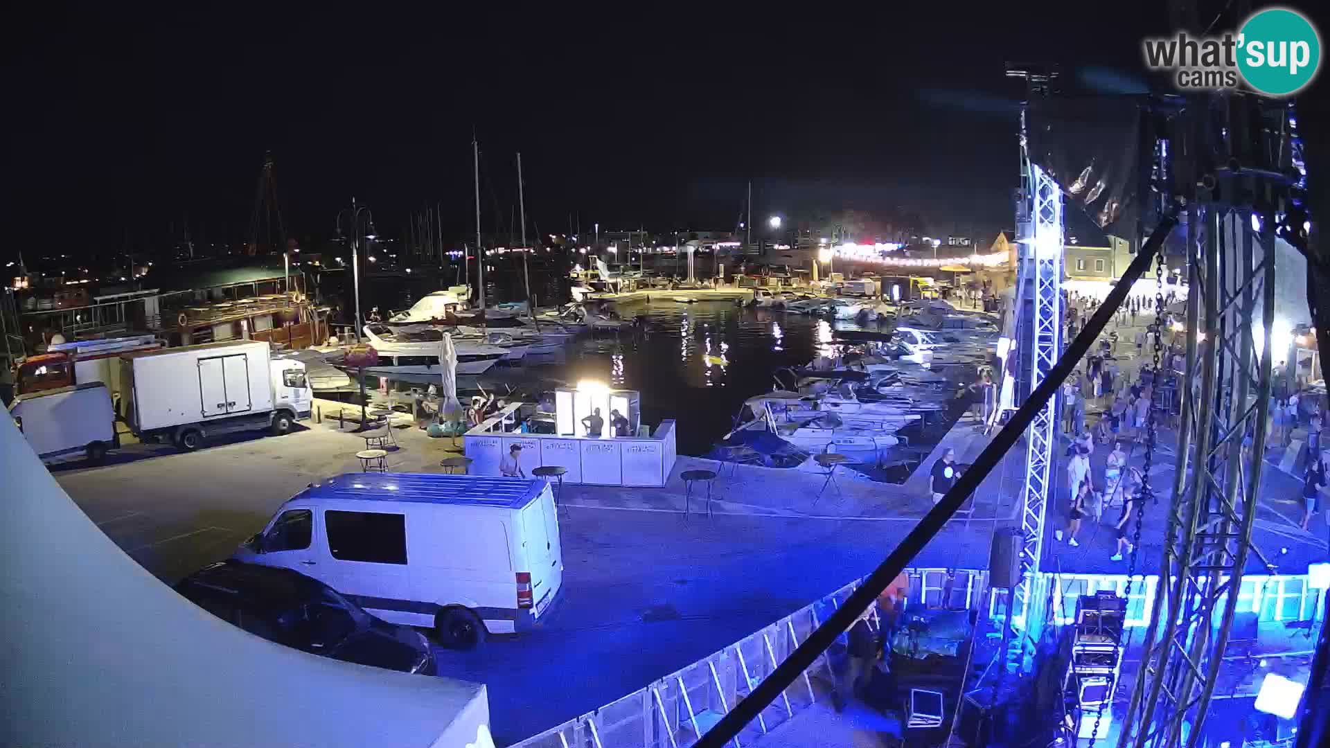 Novigrad | Porporela marina