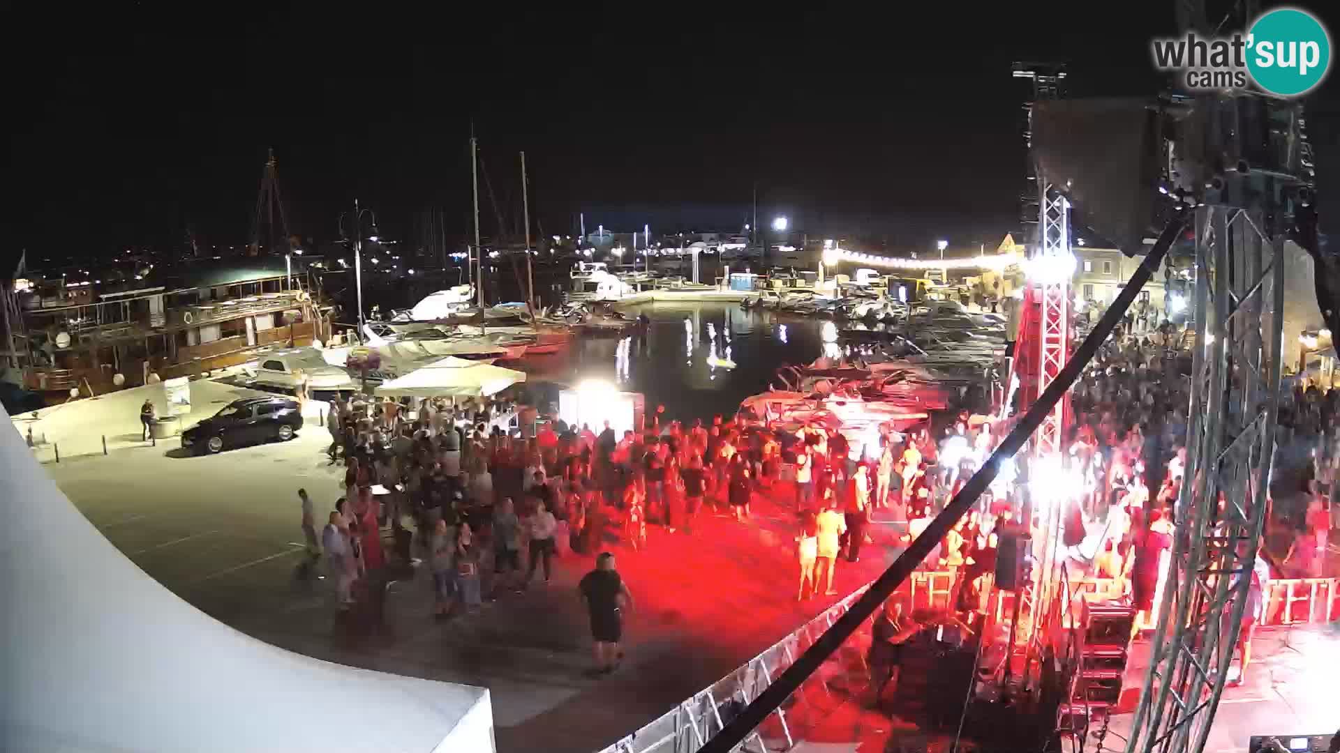 Novigrad | Porporela marina