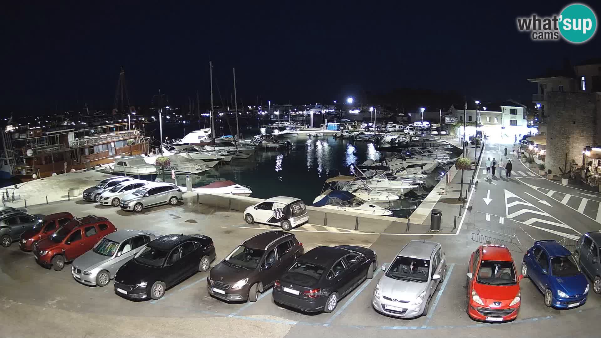 Novigrad | Porporela marina