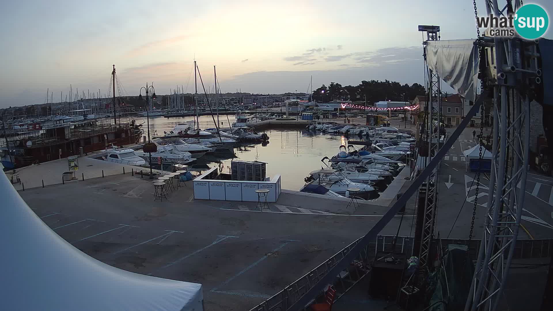 Novigrad | Porporela marina