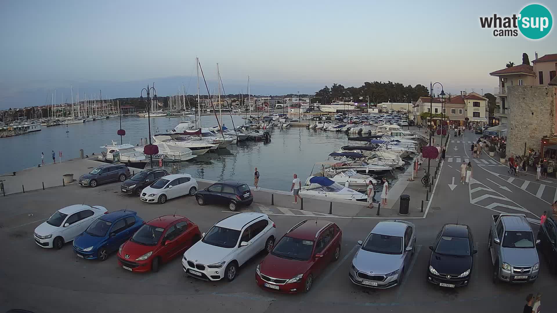 Novigrad | Porporela marina