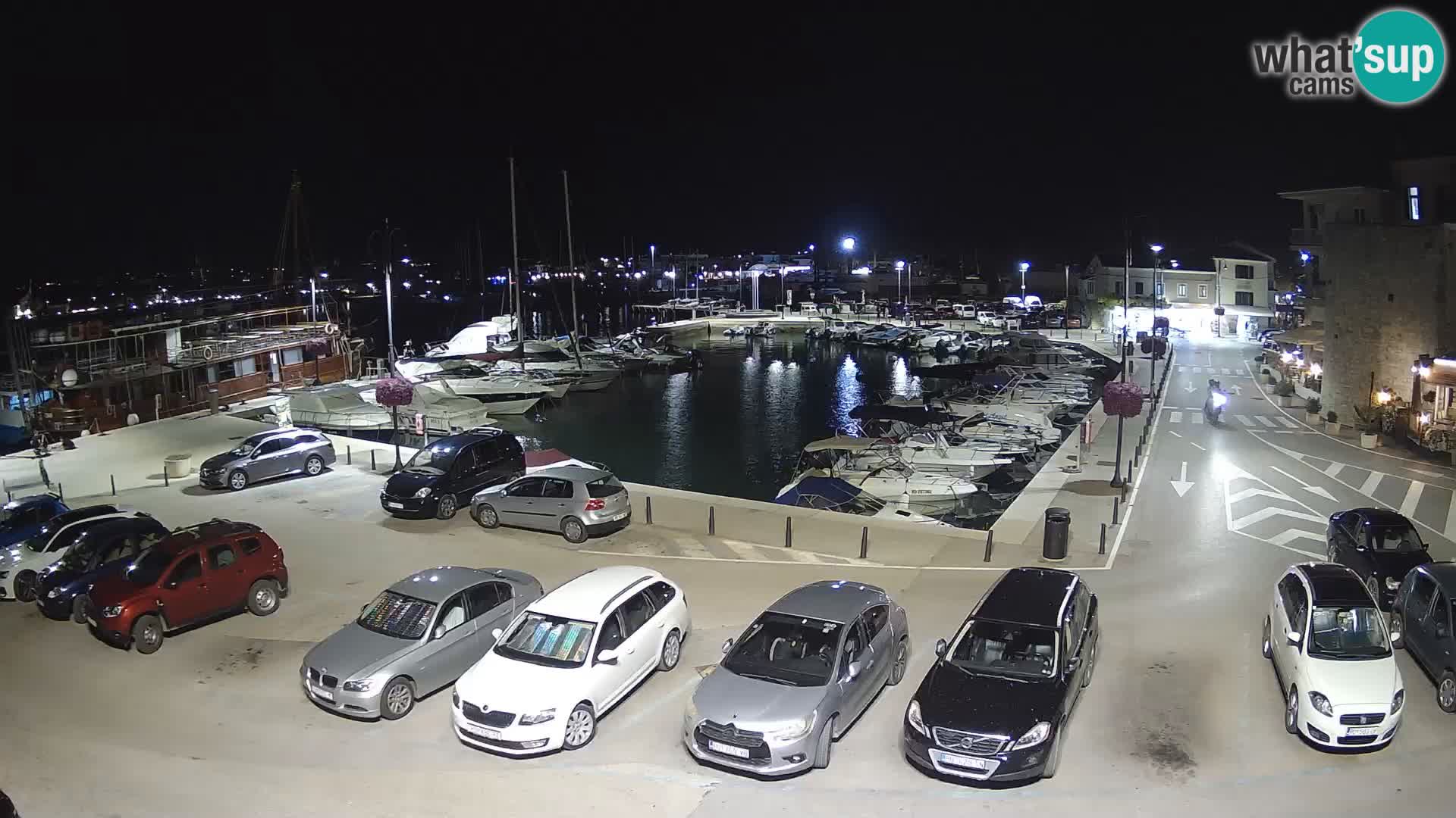 Novigrad | Porporela marina