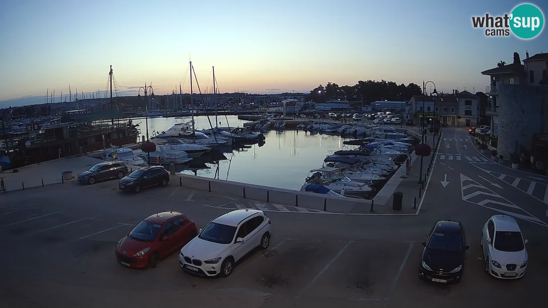 Novigrad | Porporela marina