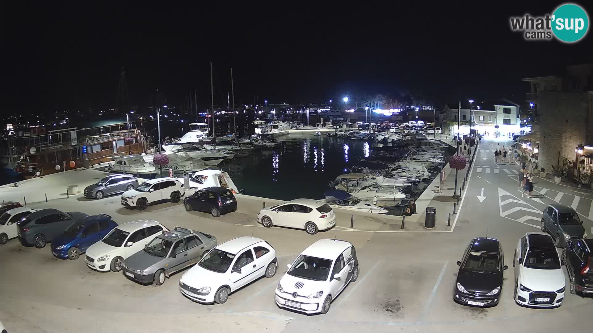 Novigrad | Porporela marina