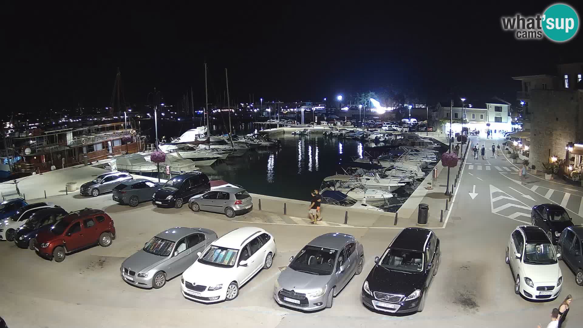 Novigrad | Porporela marina