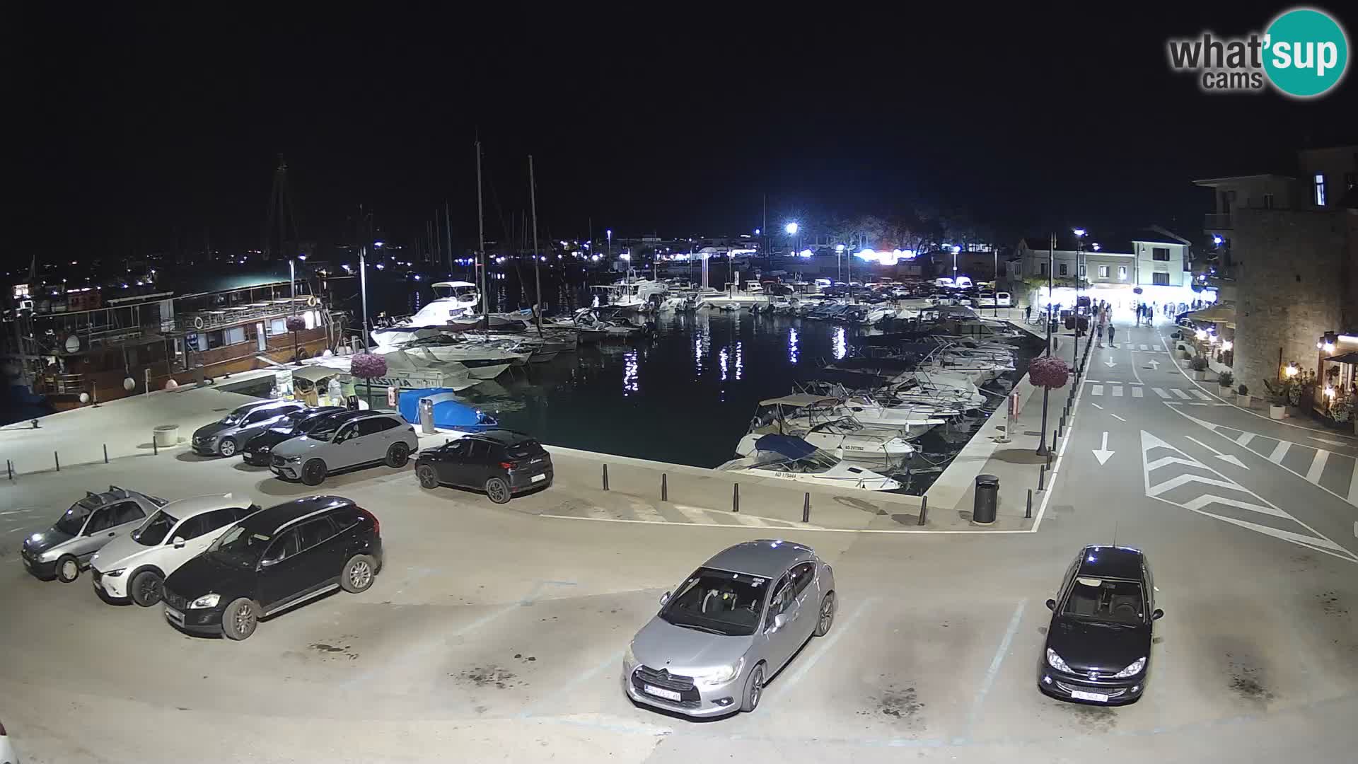 Novigrad | Porporela marina