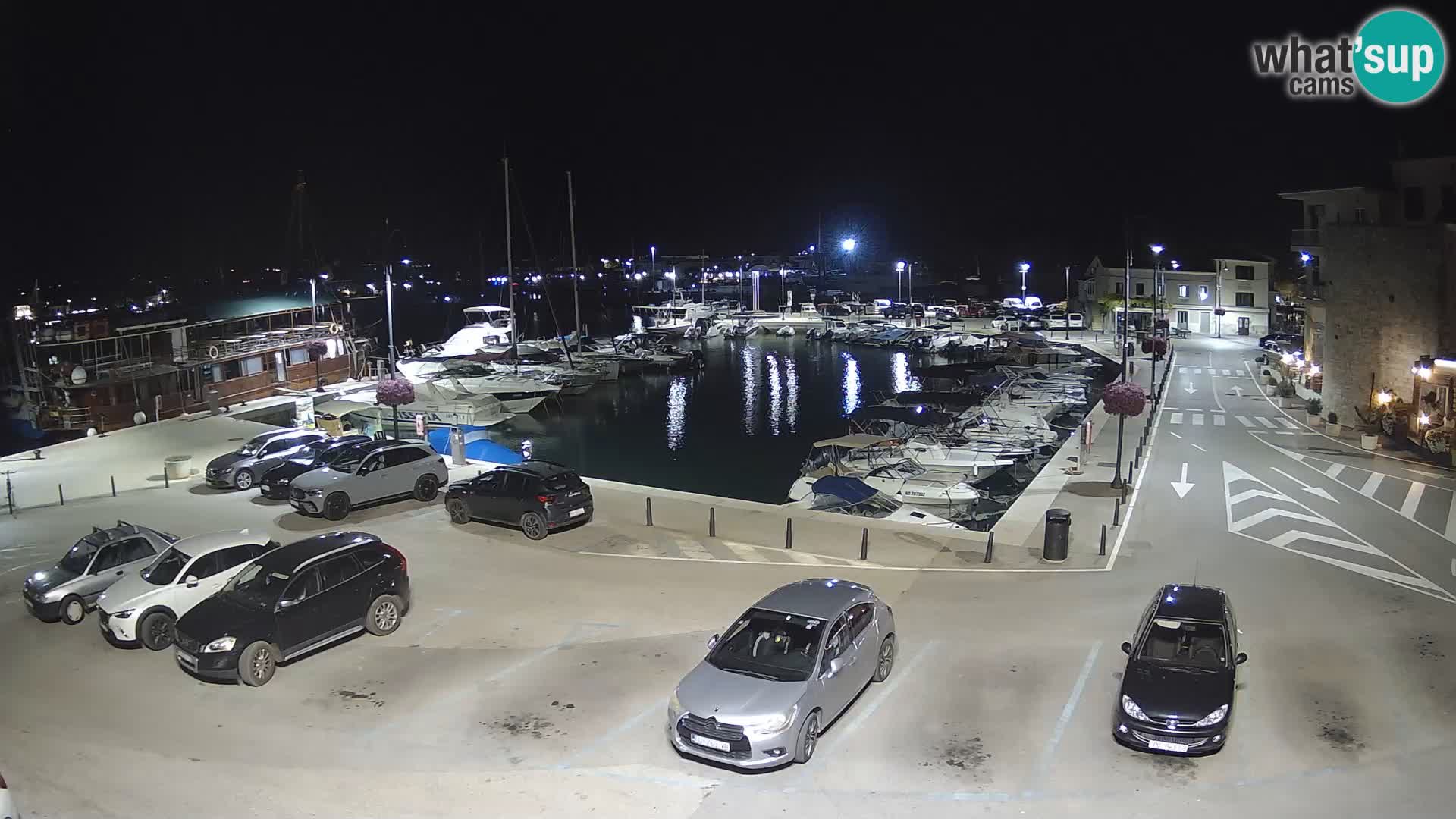 Novigrad | Porporela marina