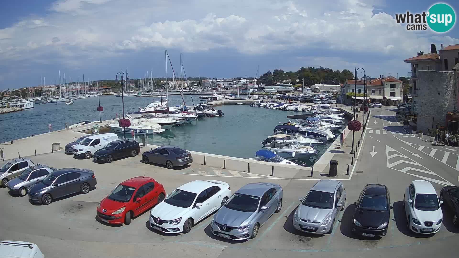 Novigrad | Porporela marina