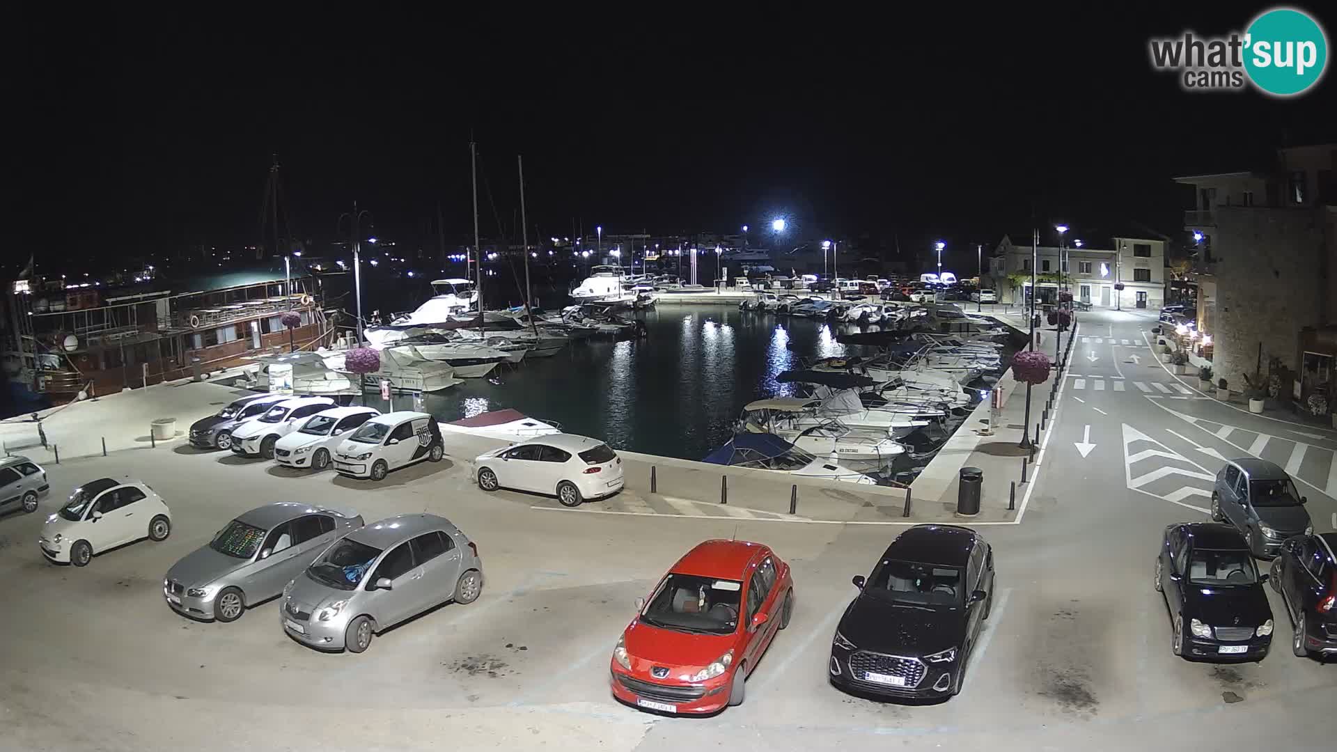Novigrad | Porporela marina