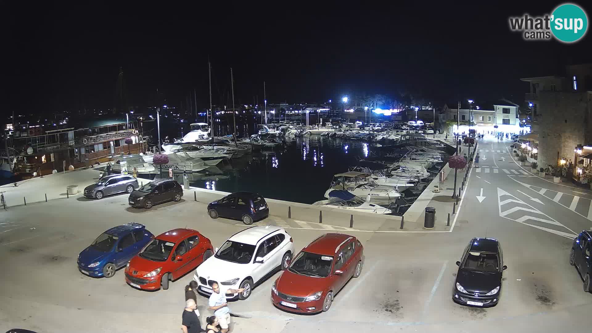 Novigrad | Porporela marina