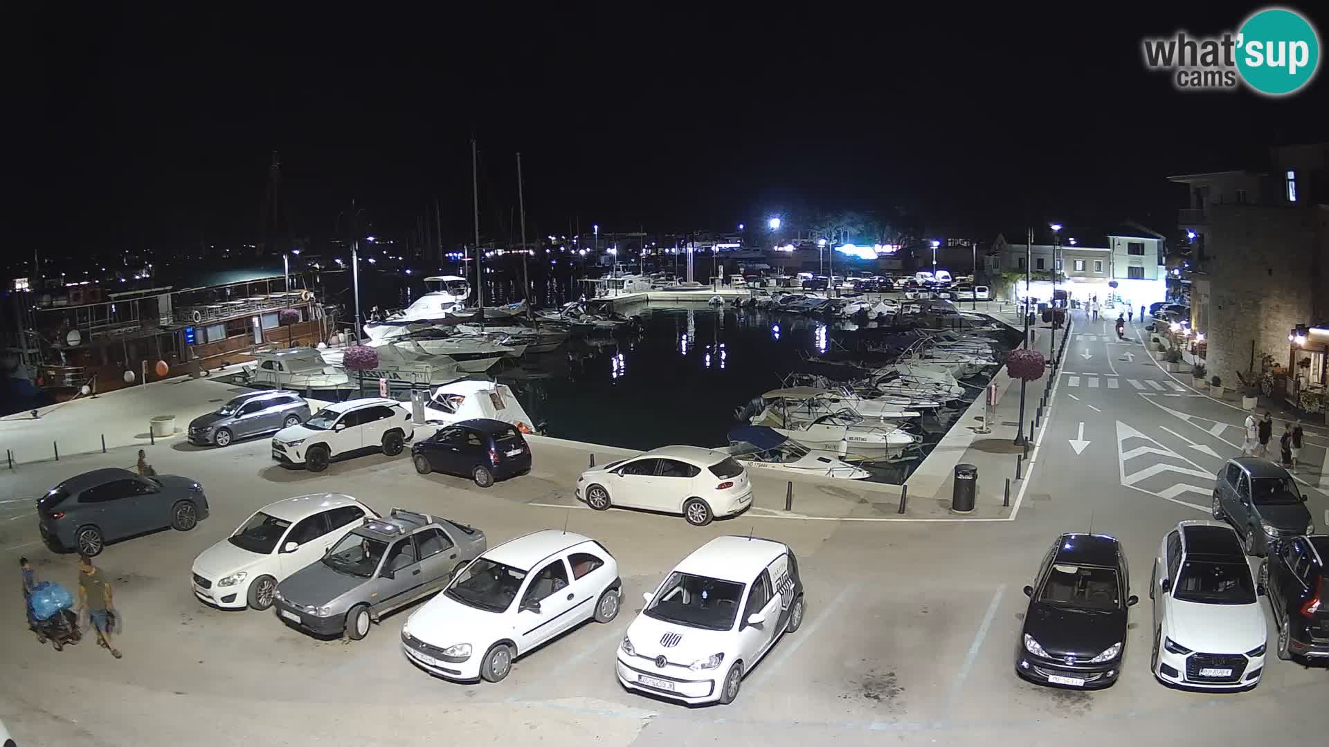 Novigrad | Porporela marina
