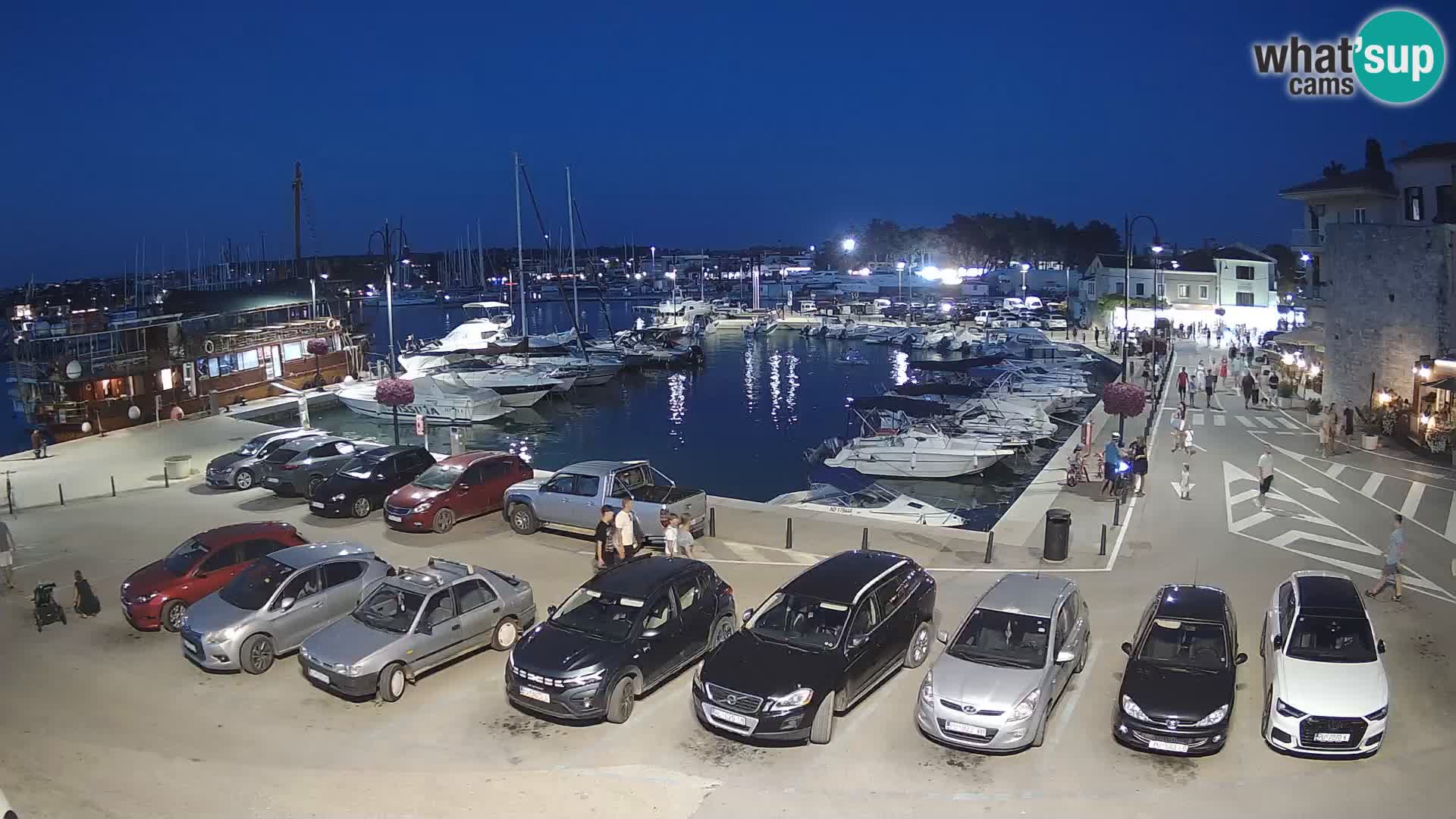 Novigrad | Porporela marina
