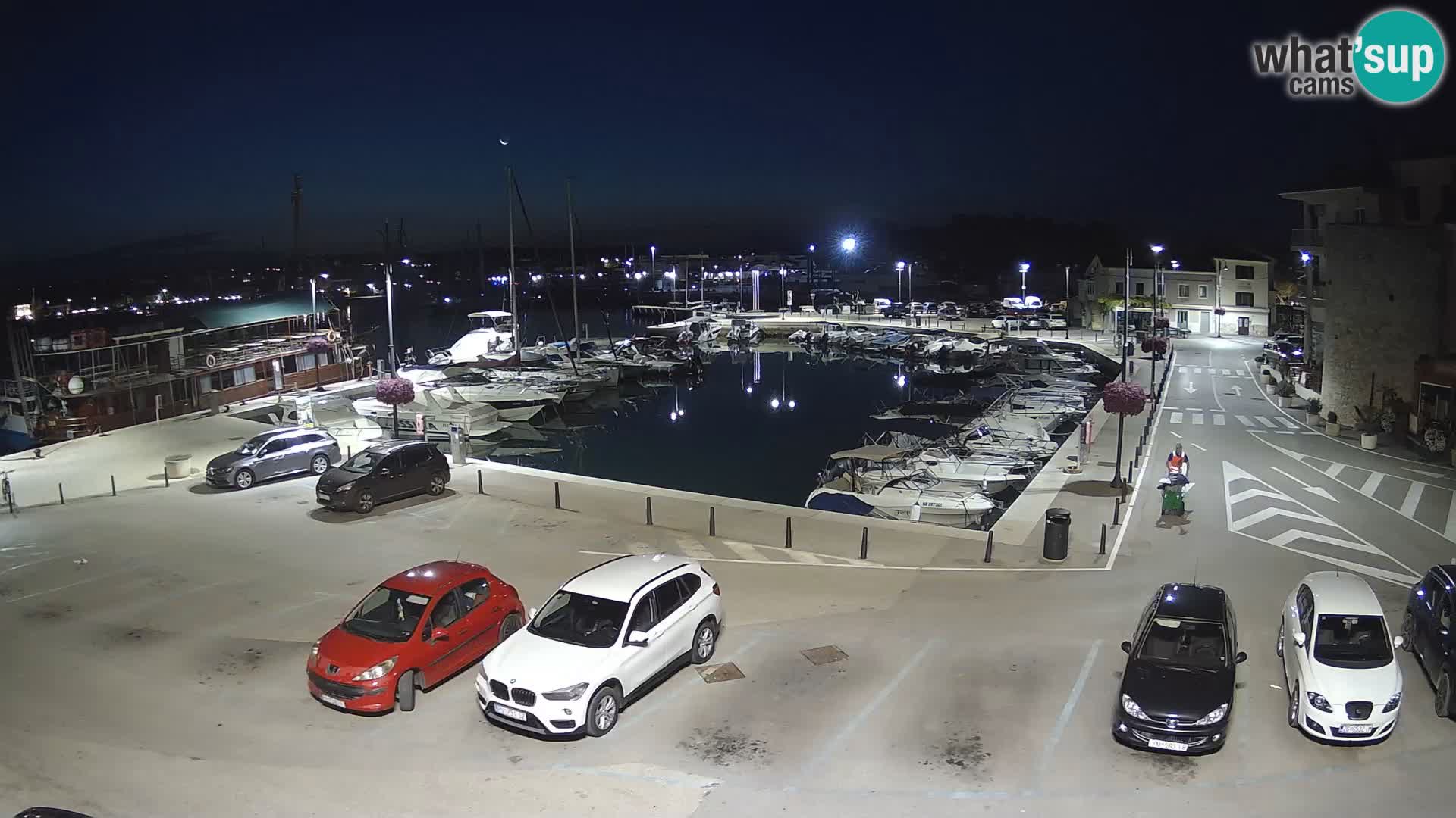 Novigrad | Porporela marina