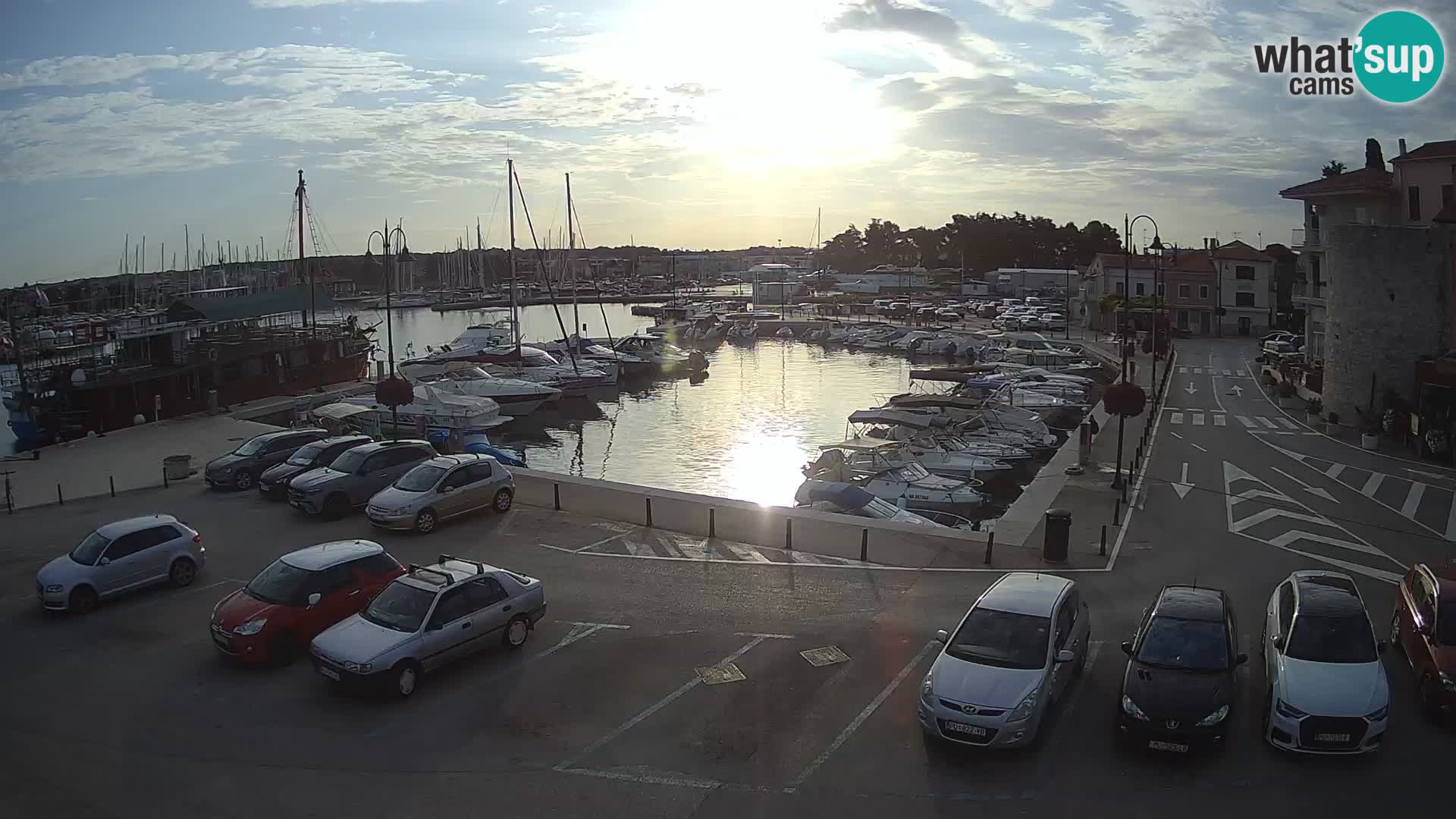 Novigrad | Porporela marina