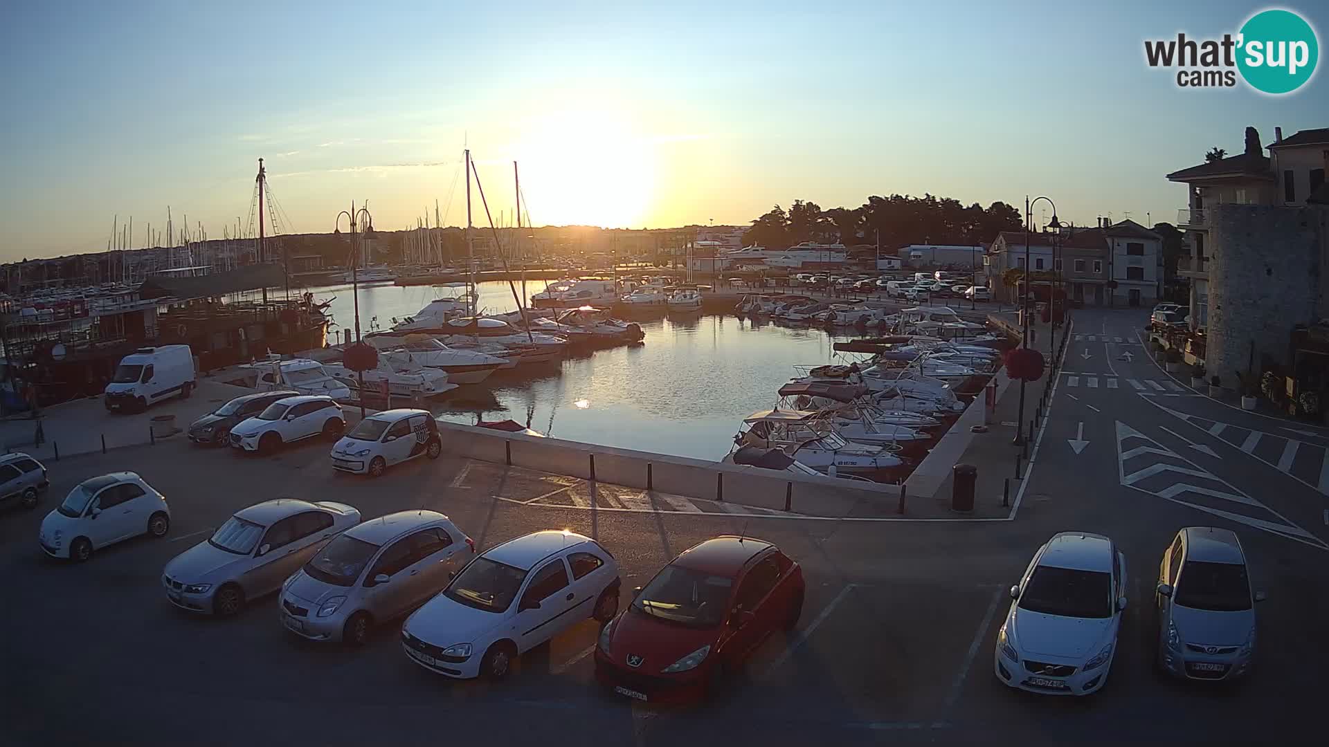 Novigrad | Porporela marina