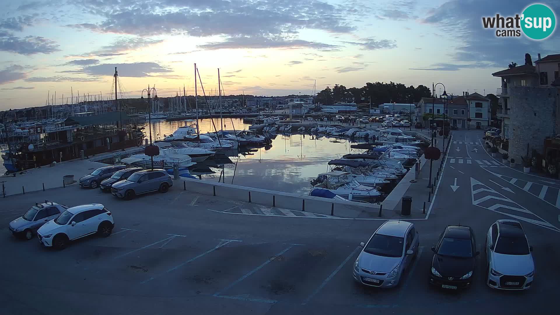 Novigrad | Porporela marina