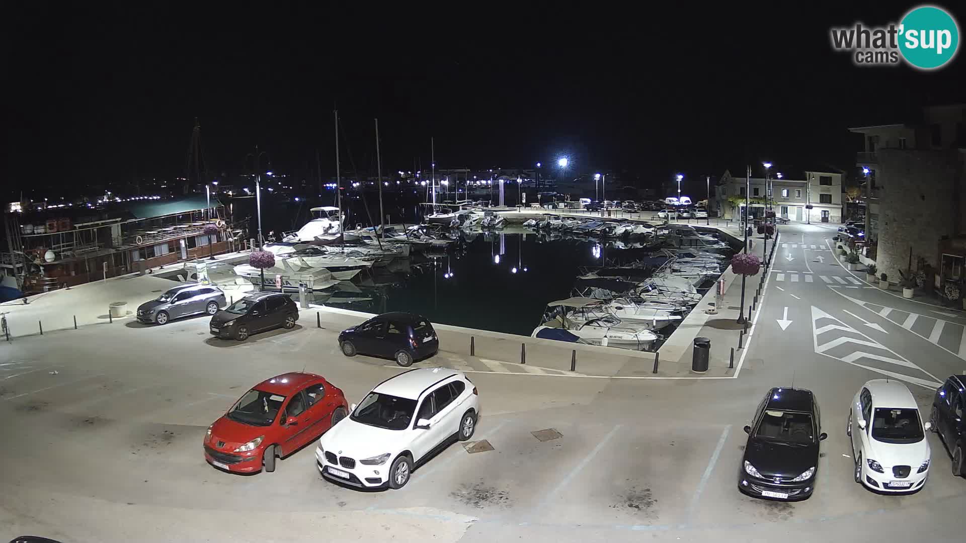 Novigrad | Porporela marina
