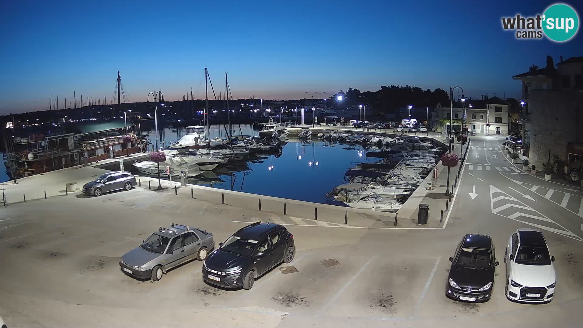Novigrad | Porporela marina