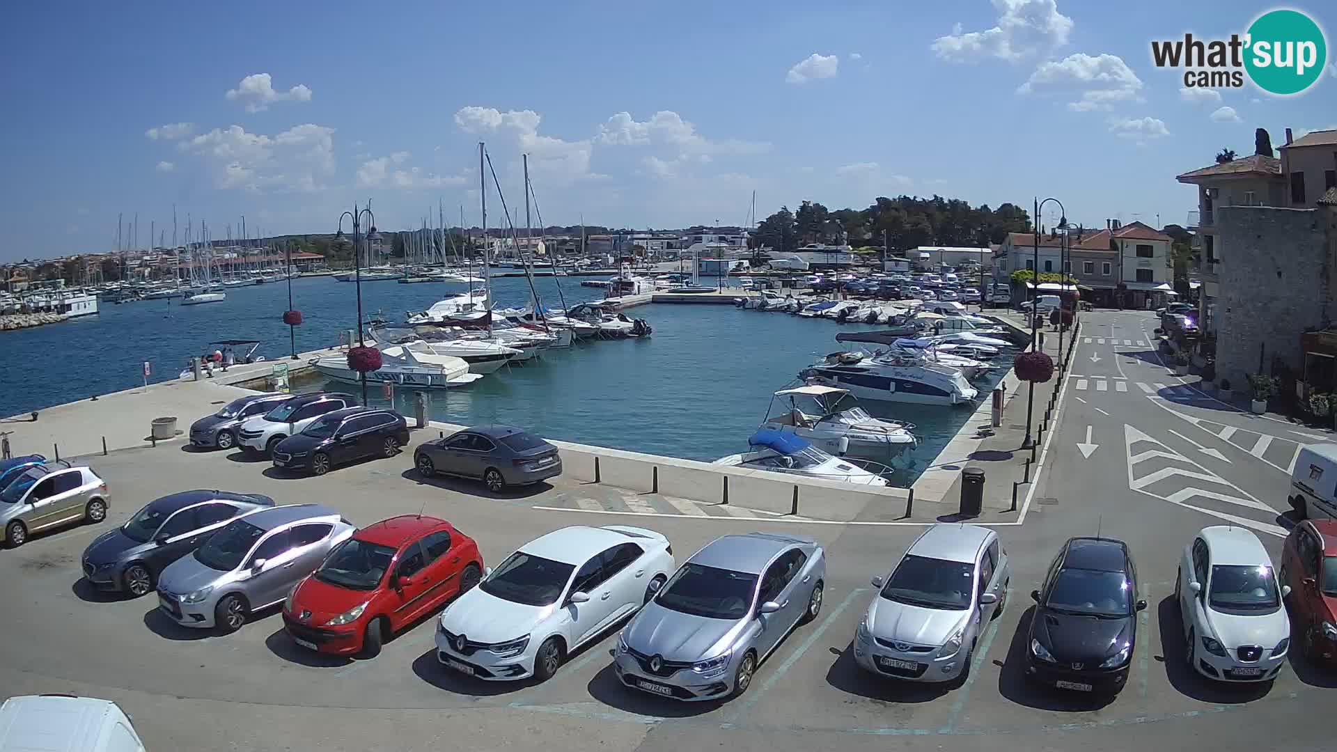 Novigrad | Porporela marina