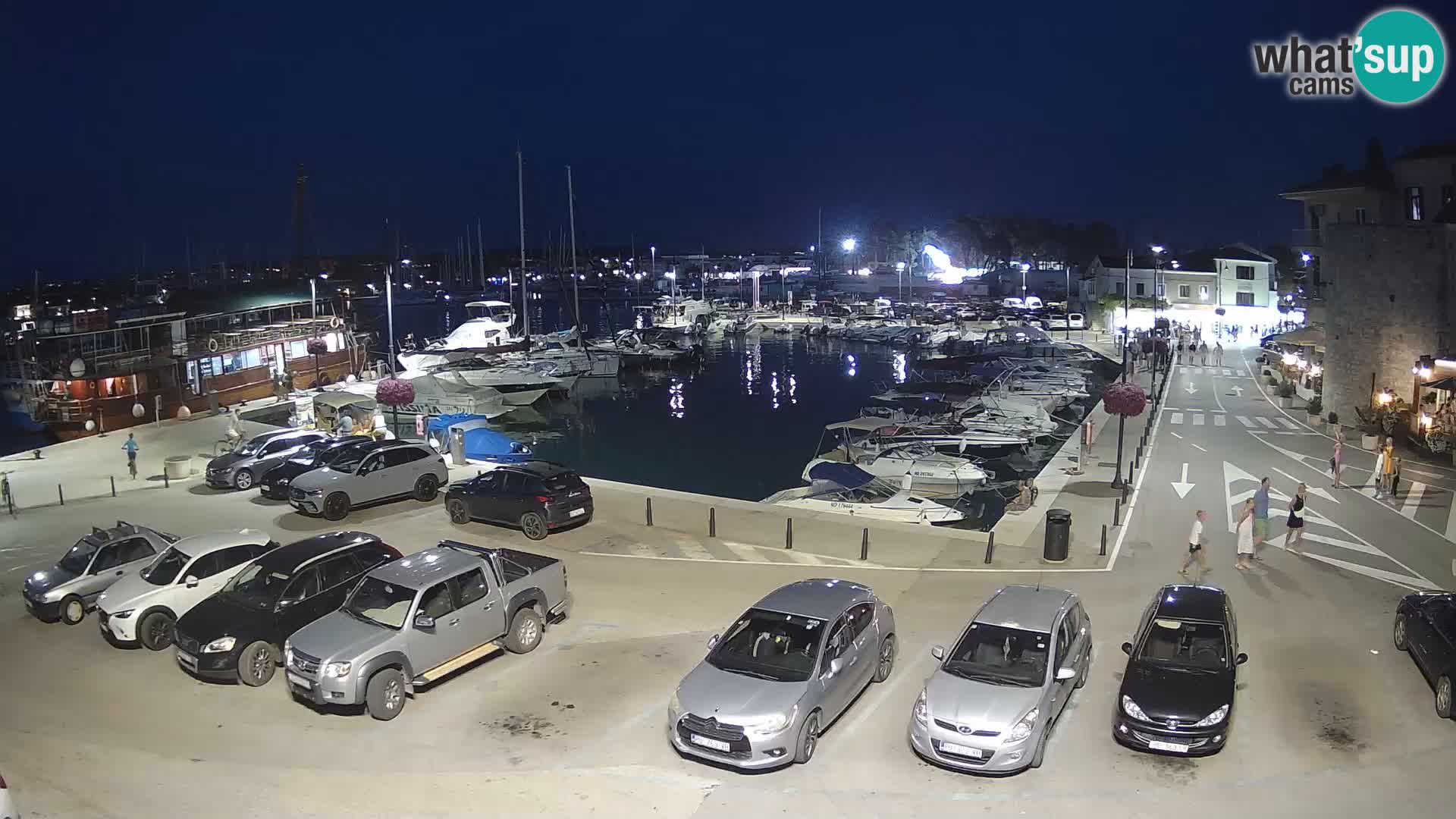 Novigrad | Porporela marina