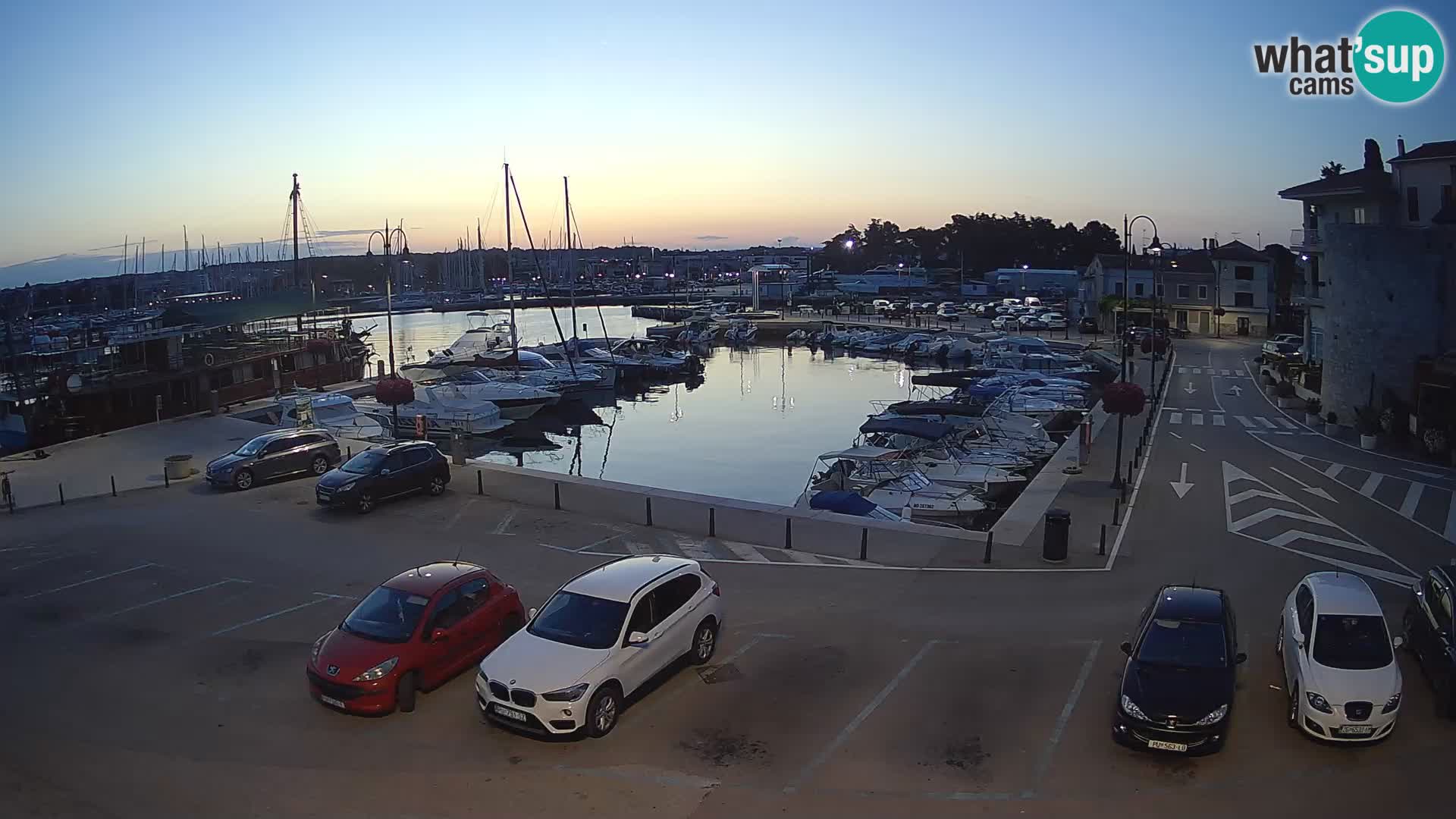 Novigrad | Porporela marina