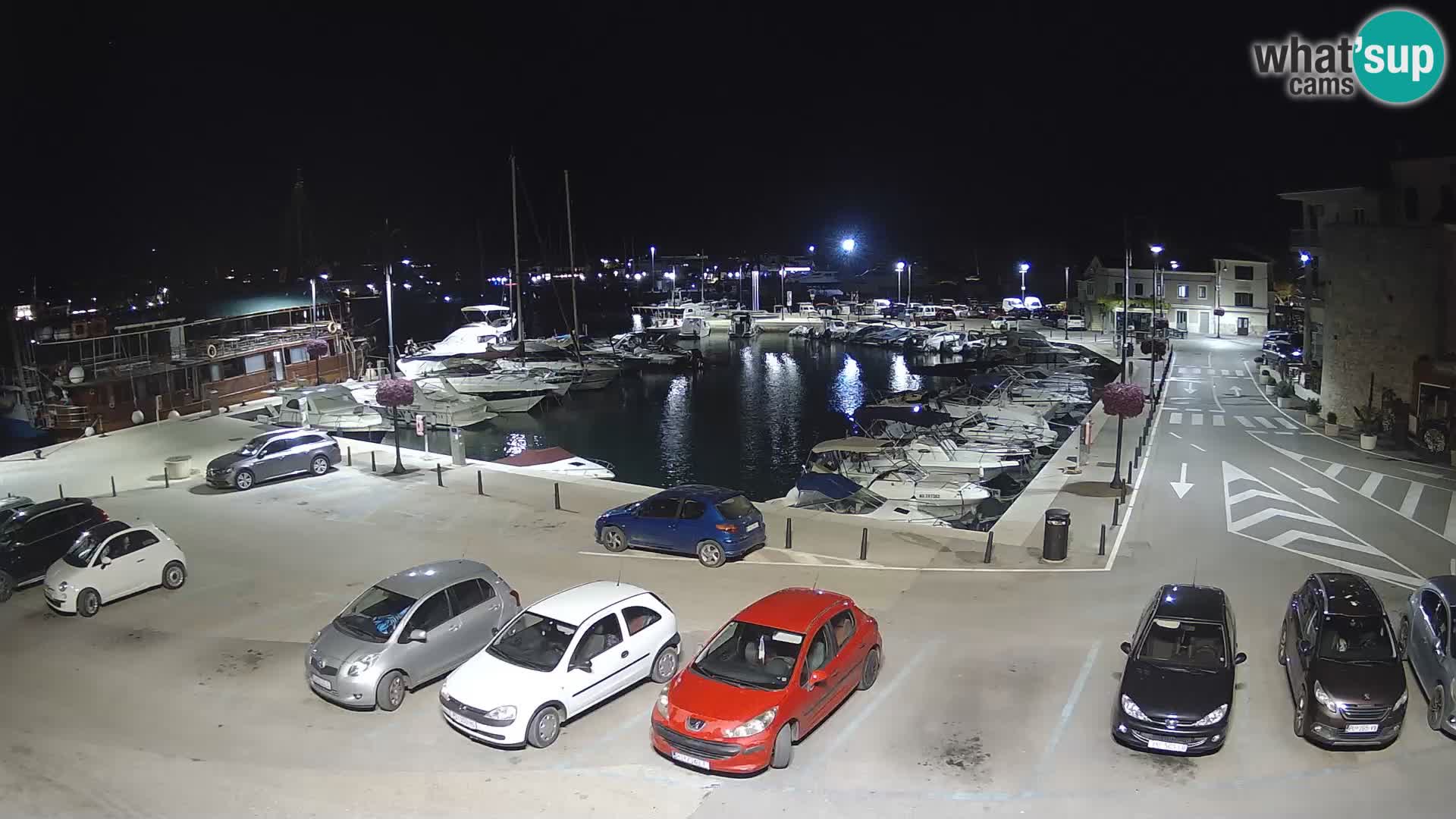 Novigrad | Porporela marina