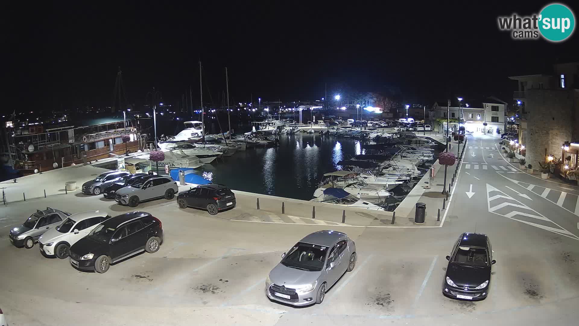 Novigrad | Porporela marina