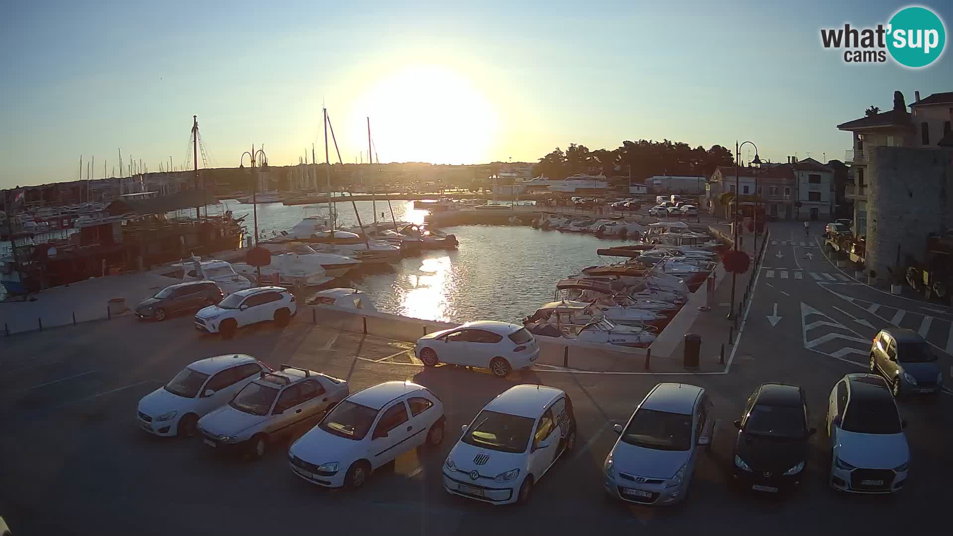 Novigrad | Porporela marina