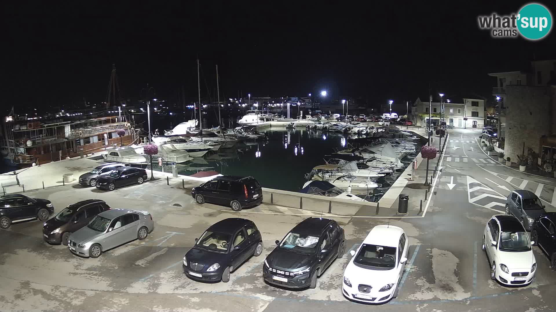 Novigrad | Porporela marina