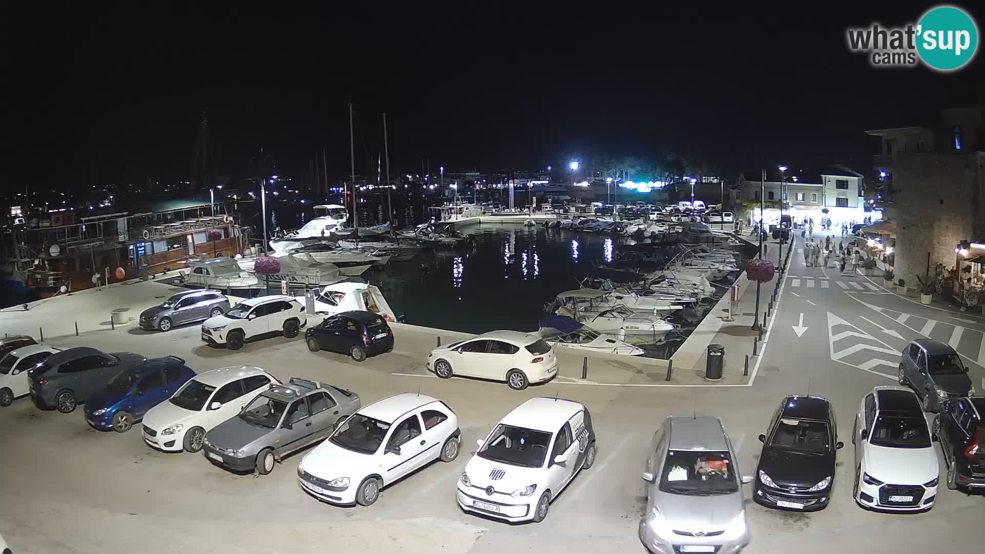Novigrad | Porporela marina