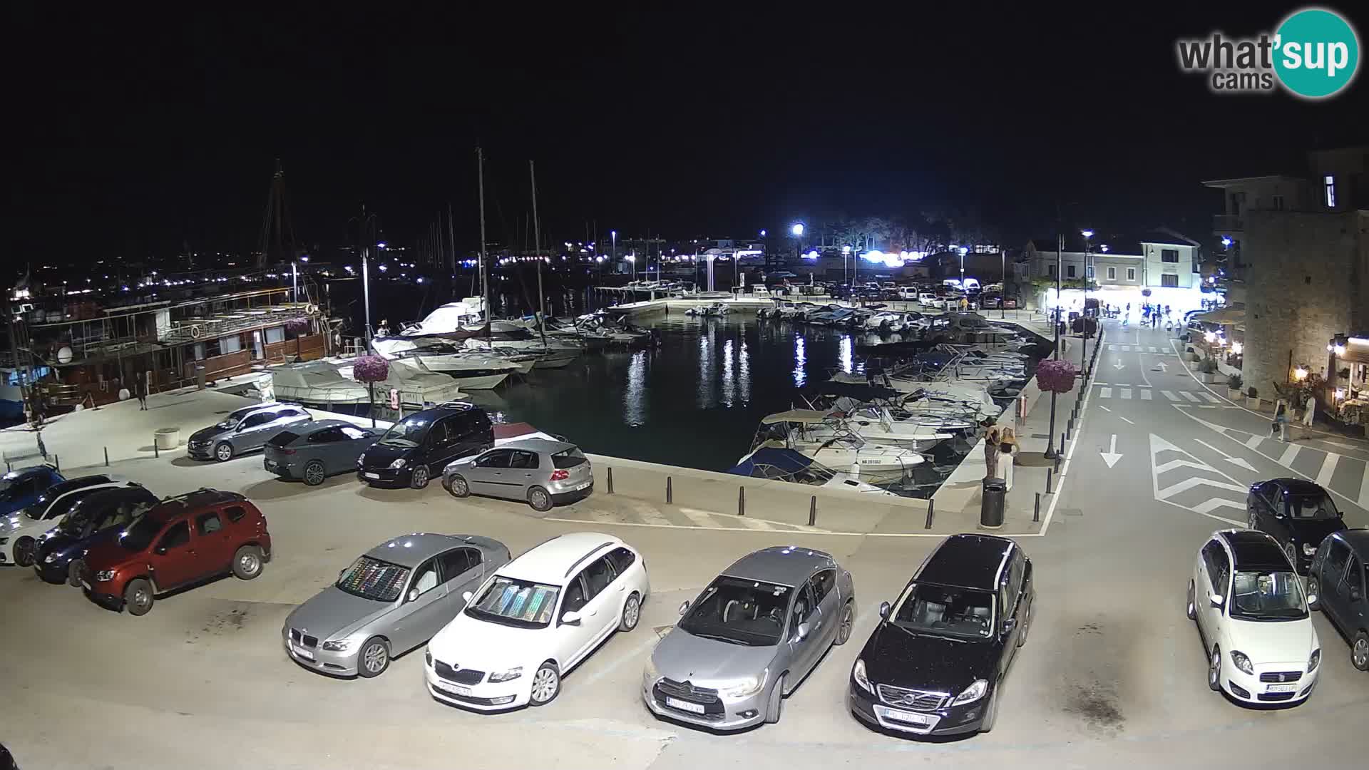 Novigrad | Porporela marina