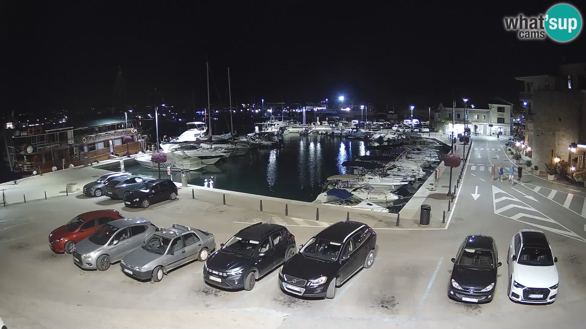 Novigrad | Porporela marina