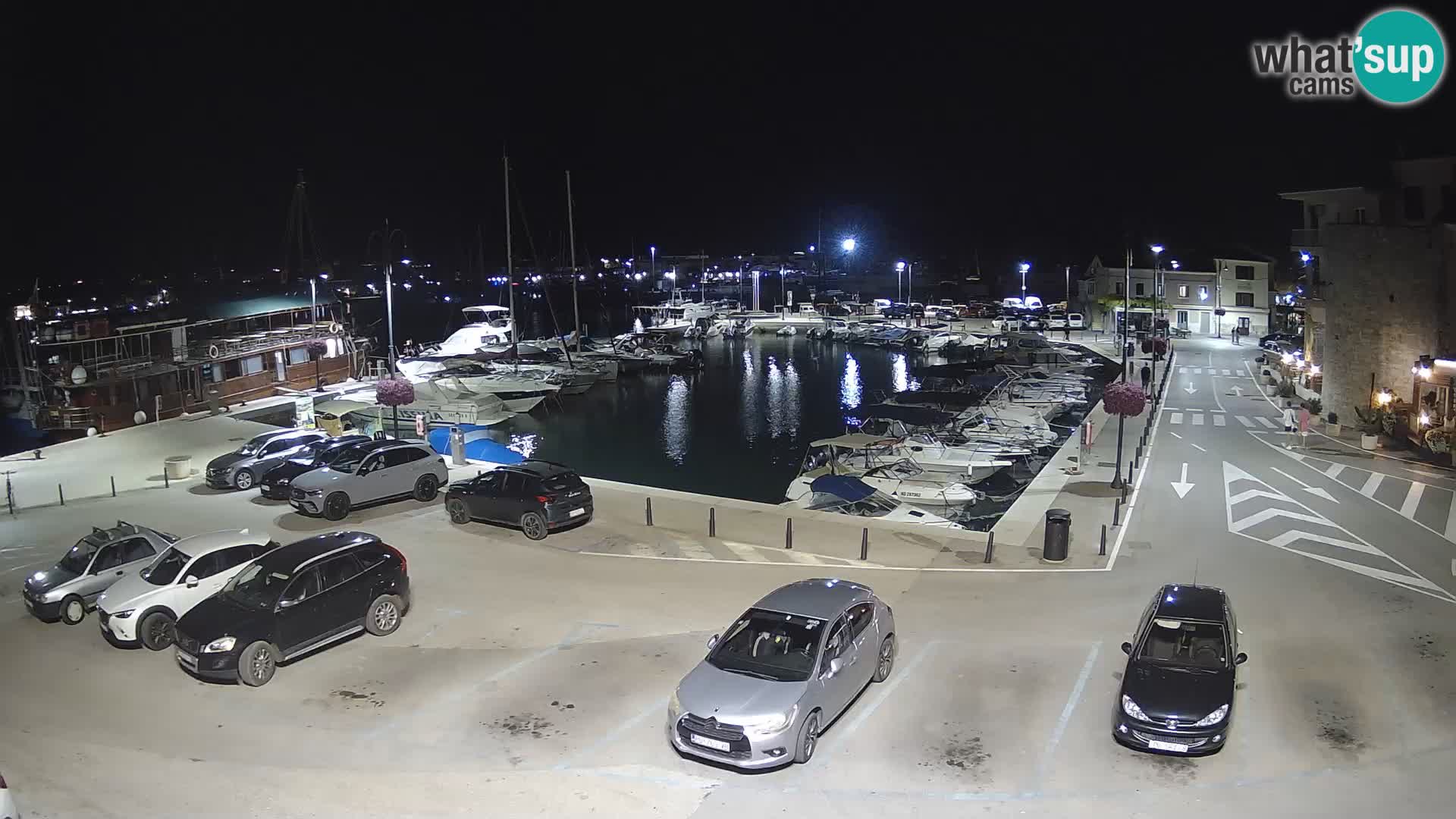 Novigrad | Porporela marina