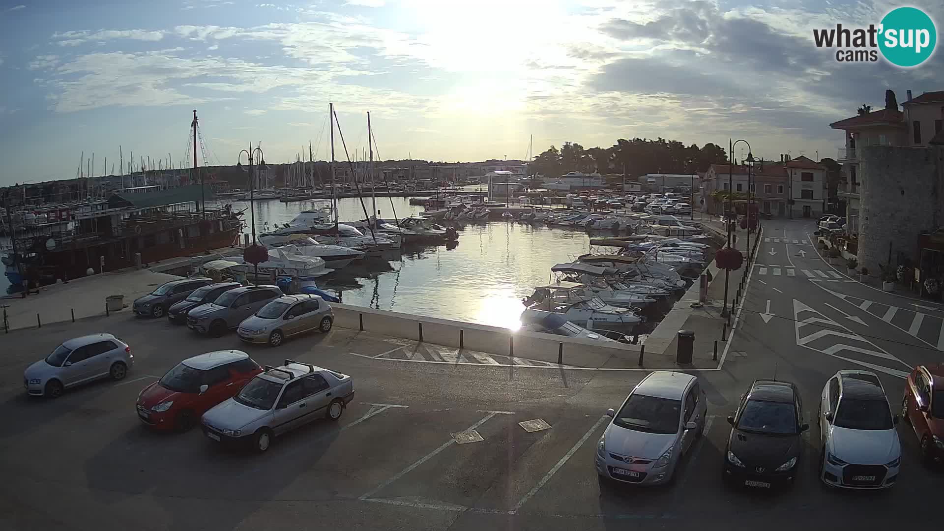 Novigrad | Porporela marina