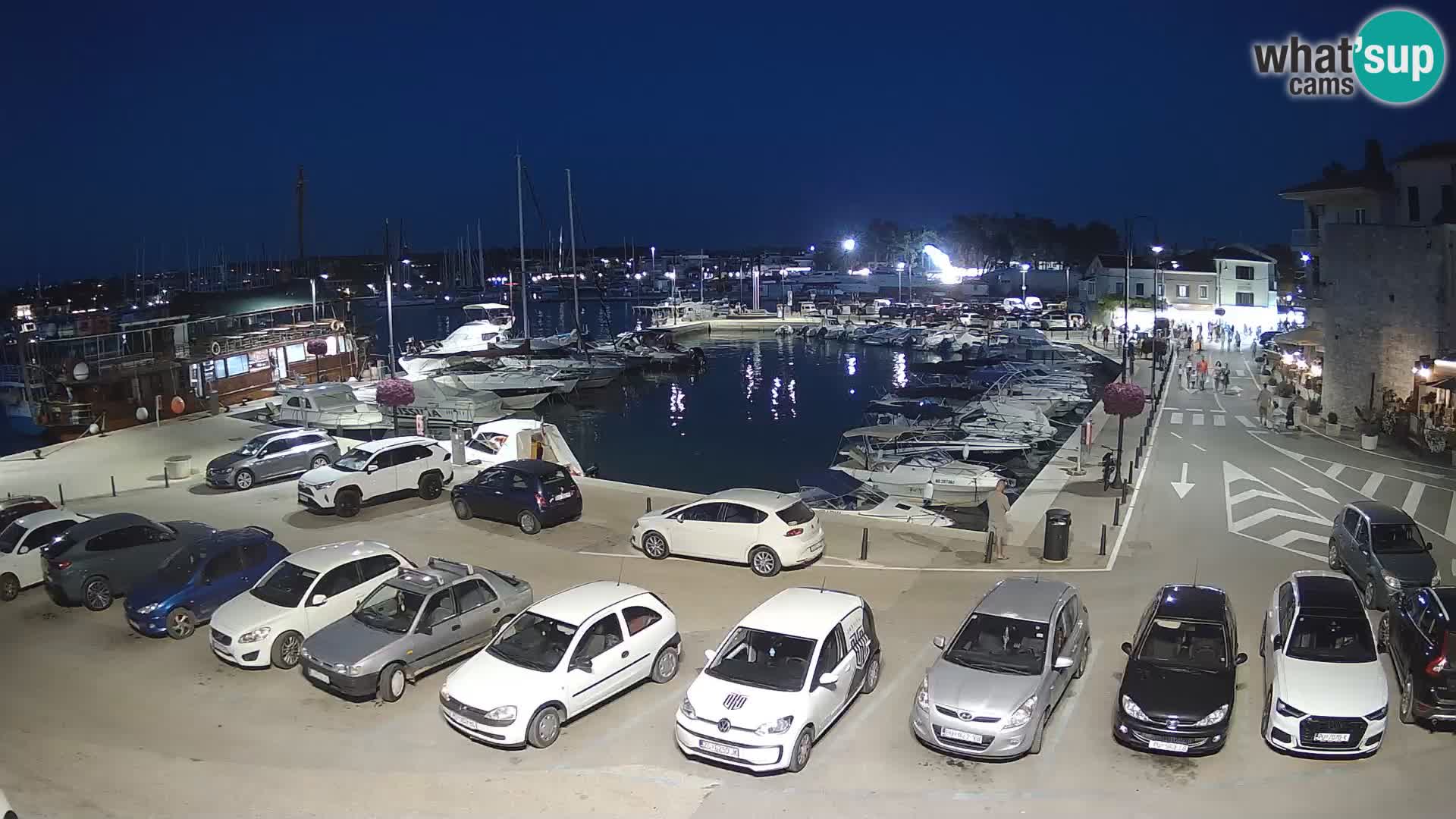 Novigrad | Porporela marina
