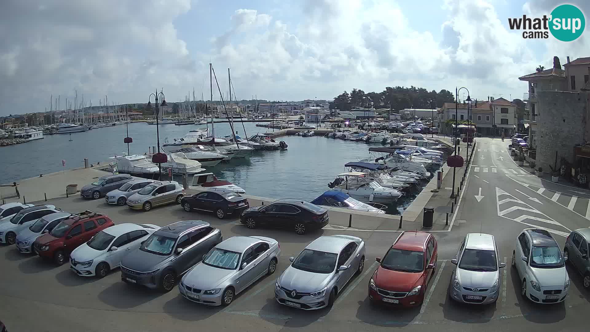 Novigrad | Porporela marina
