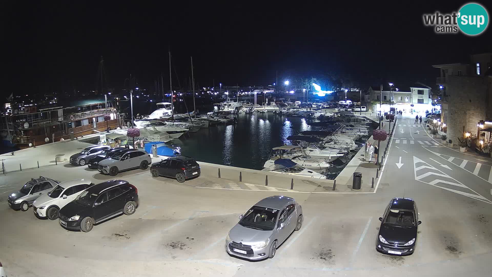 Novigrad | Porporela marina