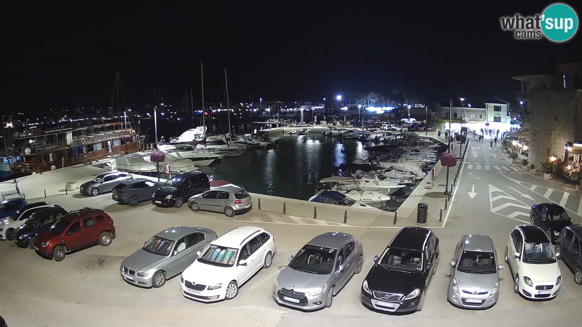 Novigrad | Porporela marina