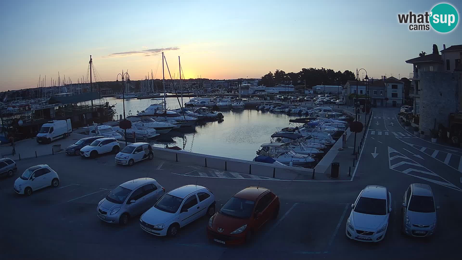 Novigrad | Porporela marina