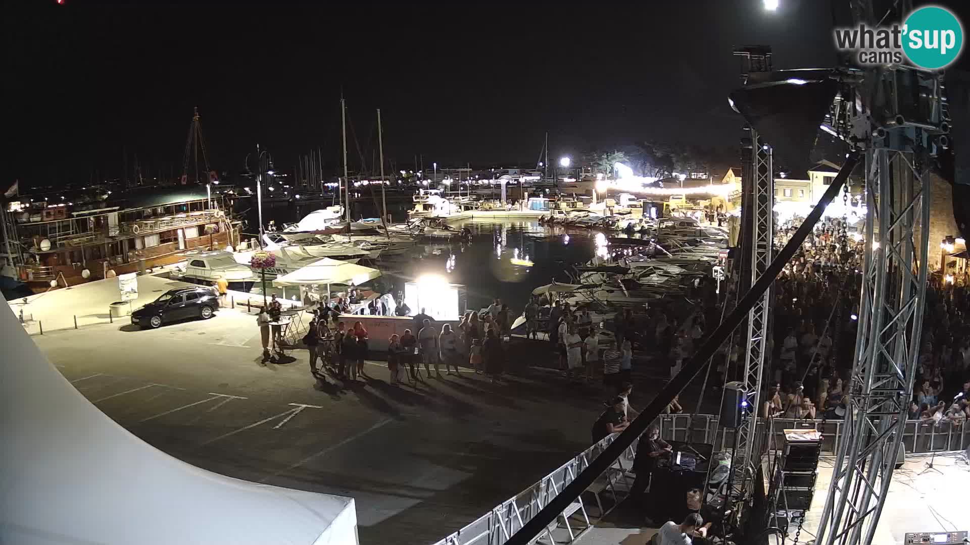 Novigrad | Porporela marina