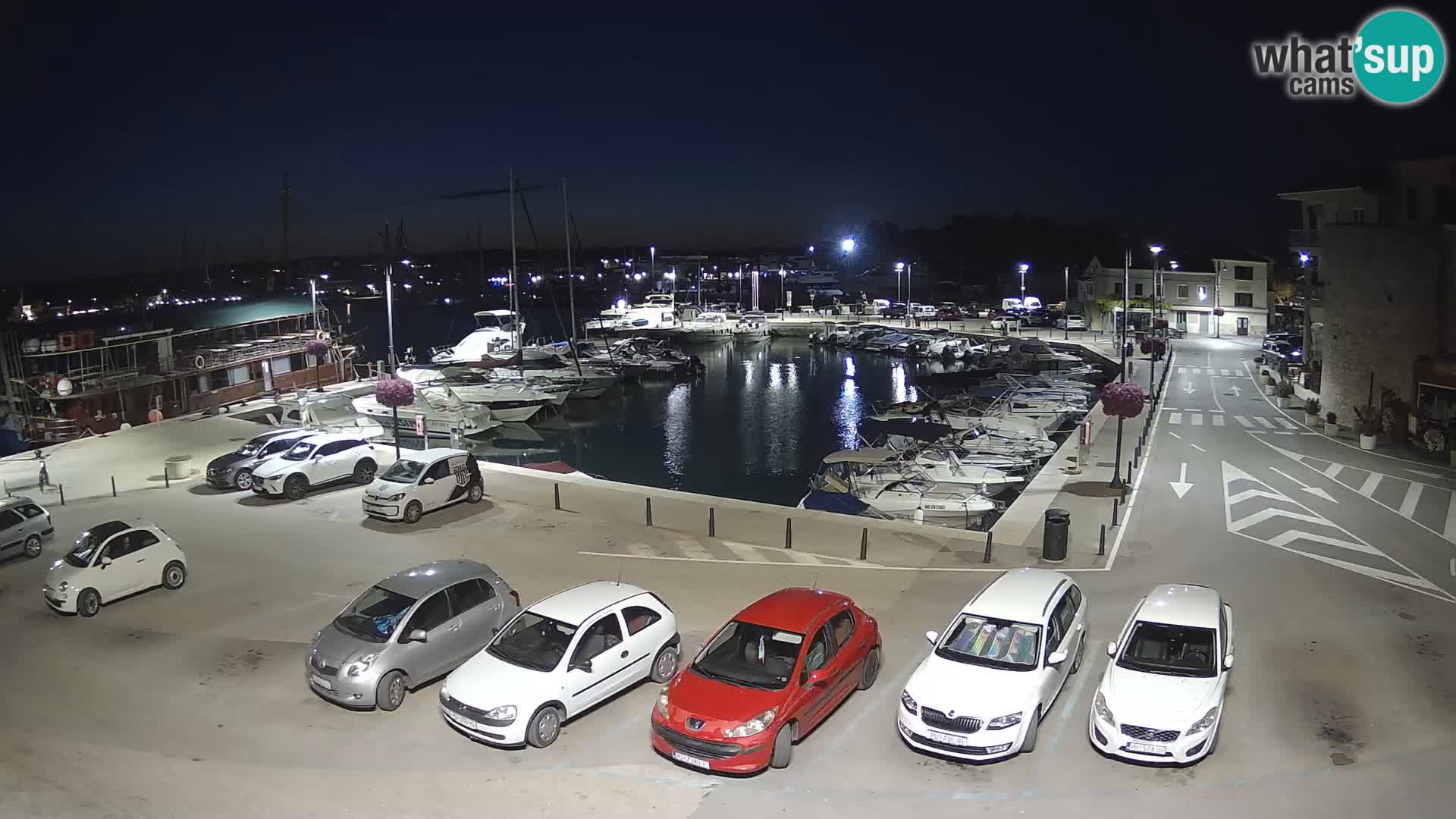 Novigrad | Porporela marina