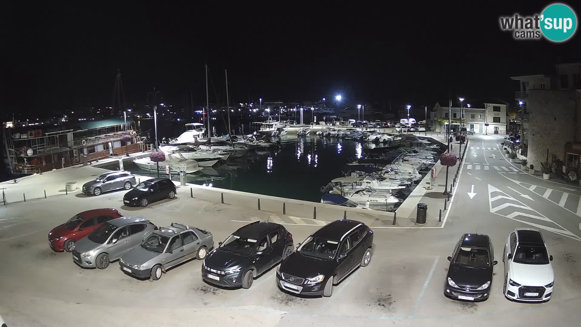Novigrad | Porporela marina