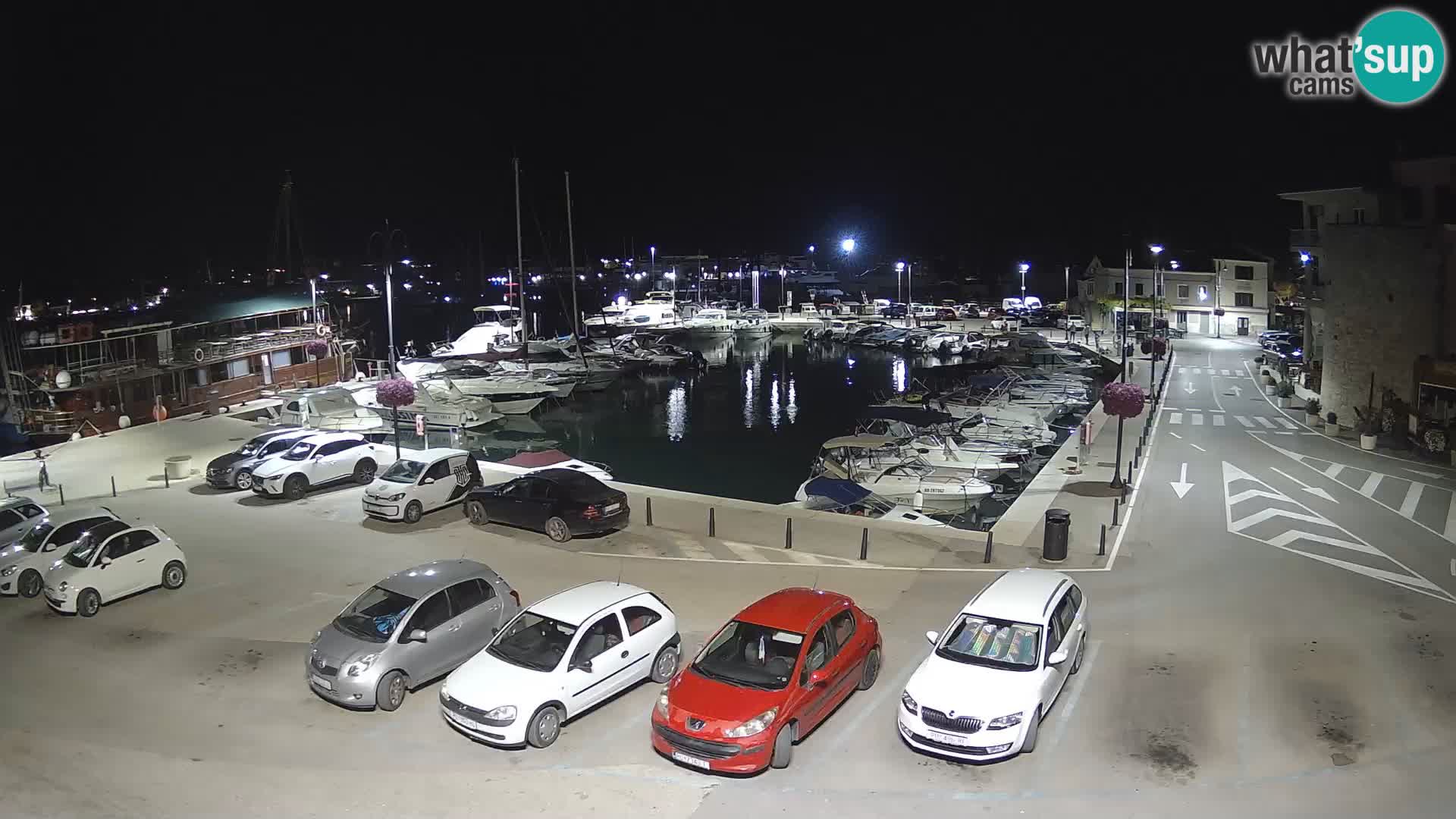 Novigrad | Porporela marina