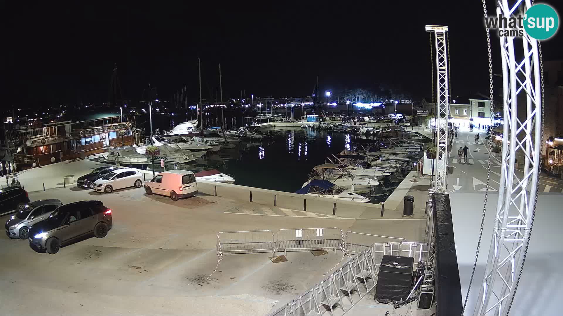 Novigrad | Porporela marina