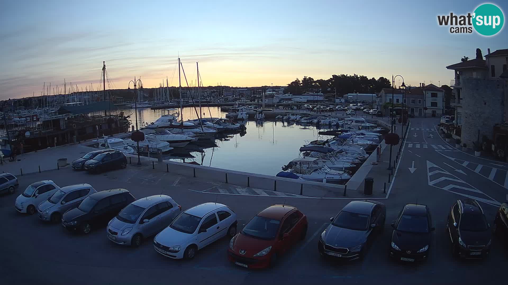 Novigrad | Porporela marina