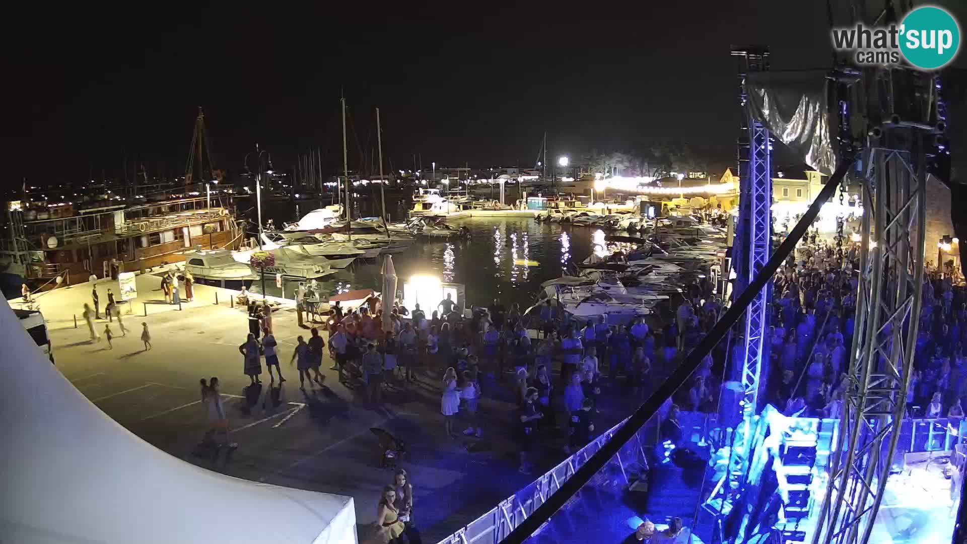 Novigrad | Porporela marina