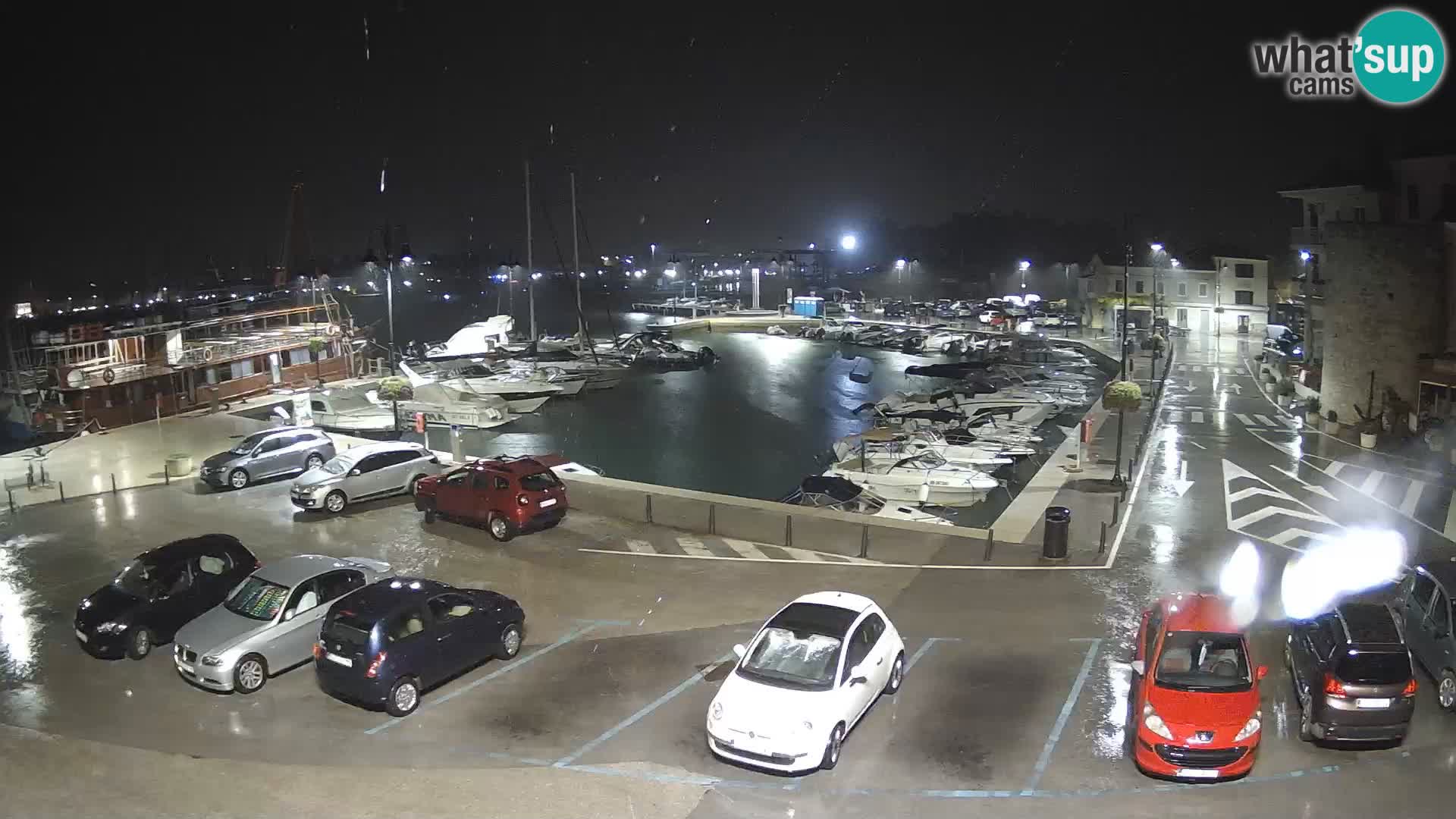 Novigrad | Porporela marina